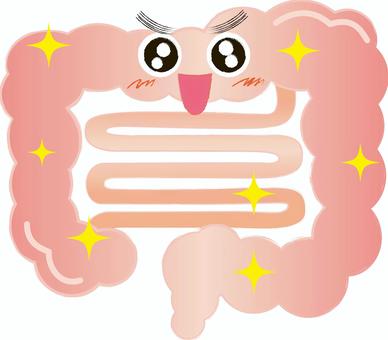 快便＝美腸をつくる生活習慣