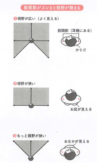 コロナ対策　生活習慣　ー歩く時のクセづけー